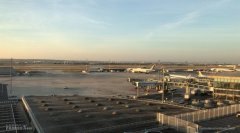 巴黎機場頻發“失貓案” 失主怒告機場和航司-烏克蘭航空