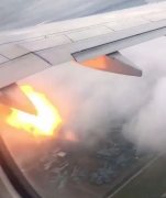 加拿大一飛機發動機遭遇鳥擊起火 安全返航-國際快遞價格