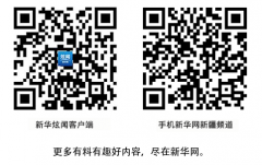 伊拉克的國際快遞-“有機”換生機，新疆沙漠小縣破題紅棗“賣難”-上海大眾