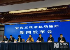 歐洲航運代理-宜賓五糧液機場即將通航 為川滇黔結合部最大區域性機場