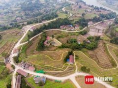 澳大利亞國際空運-瞄準(zhǔn)國家級現(xiàn)代農(nóng)業(yè)產(chǎn)業(yè)園區(qū)資陽萬畝佛山橘海將“大變臉