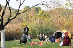 海運價格-未來三天武漢單曲循環(huán)“小晴歌”，出游正當(dāng)時