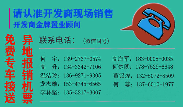 粵港澳大灣區(qū)惠州-大亞灣大中華