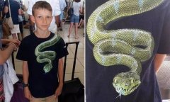 寧波海運公司-10歲男孩衣服上有“蛇”太嚇人 機場安檢要求脫掉才能登機