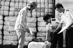 上海空運公司-南沙檢驗檢疫局打造“線上平臺+線下檢管場”組合監管創新模式