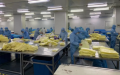 海運價格-抗擊疫情，我們在行動｜各地工信管理部門聯防聯控做好物資保障