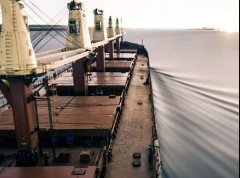 國際快遞拼箱價格-疫情過后，干散貨市場將明顯恢復