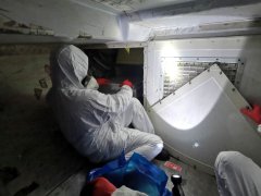 迪拜空運-廈航專家釋疑：疫情之下返工，坐飛機安全嗎？