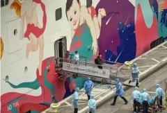 海運(yùn)費(fèi)查詢-還在增加！“鉆石公主號”郵輪已確診70例約百人出現(xiàn)發(fā)燒等癥狀