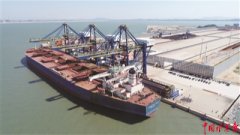 海運訂艙-新冠肺炎疫情當前 國際干散貨運輸市場何去何從？