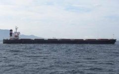 烏克蘭航空-NYK計劃再出售一艘散貨船