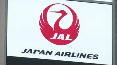 海運費在線查詢-日航一空乘確診感染新冠 曾負責芝加哥-成田航班