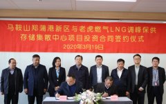 南非海運老虎燃?xì)饽赇N售220萬噸液化天然氣調(diào)峰保供存儲集散中心項目簽約落戶